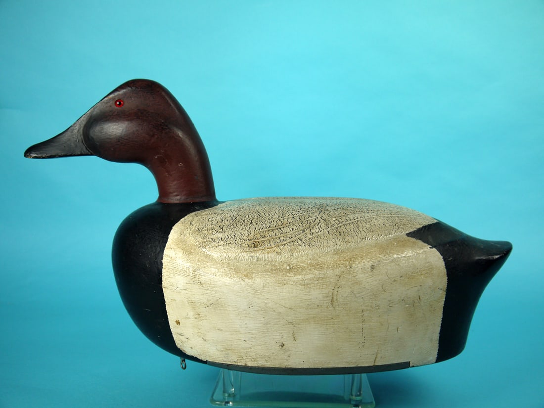 CANVASBACK DRAKE, MICHIGAN (1 of 4)