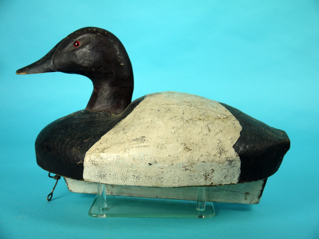 CANVASBACK DRAKE, MIDWEST (1 of 4)