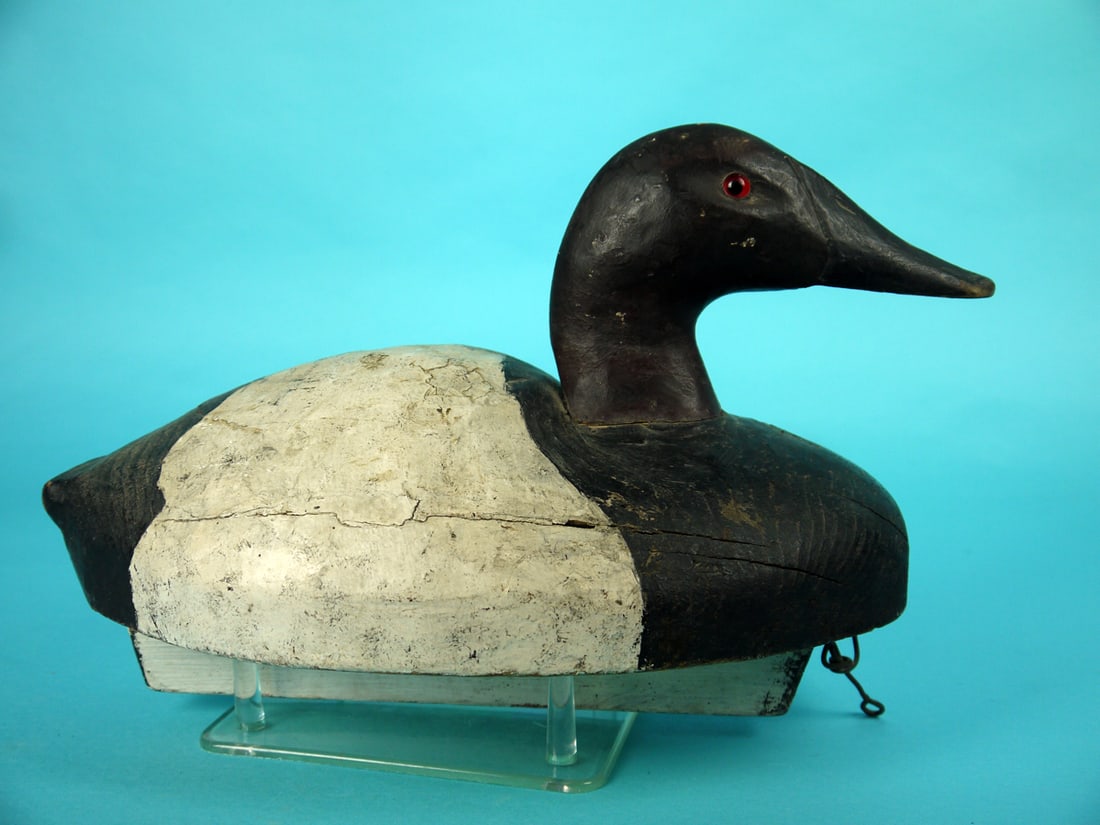 CANVASBACK DRAKE, MIDWEST - 2