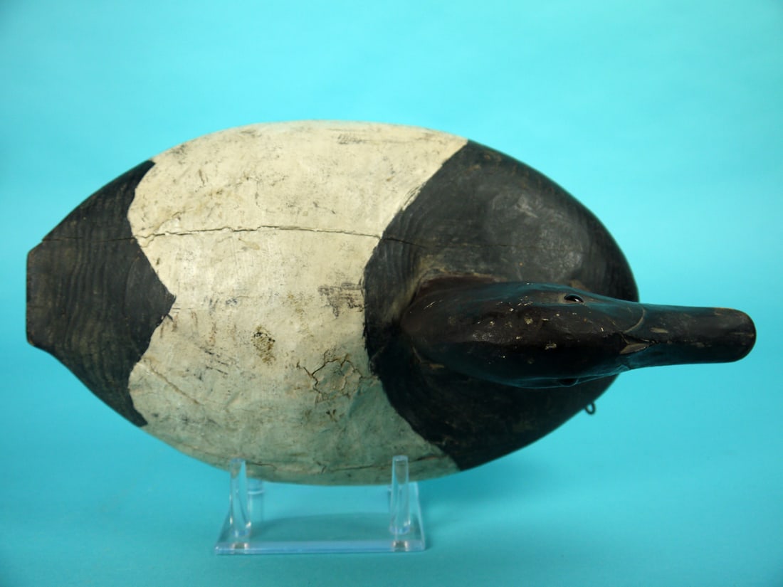 CANVASBACK DRAKE, MIDWEST - 3