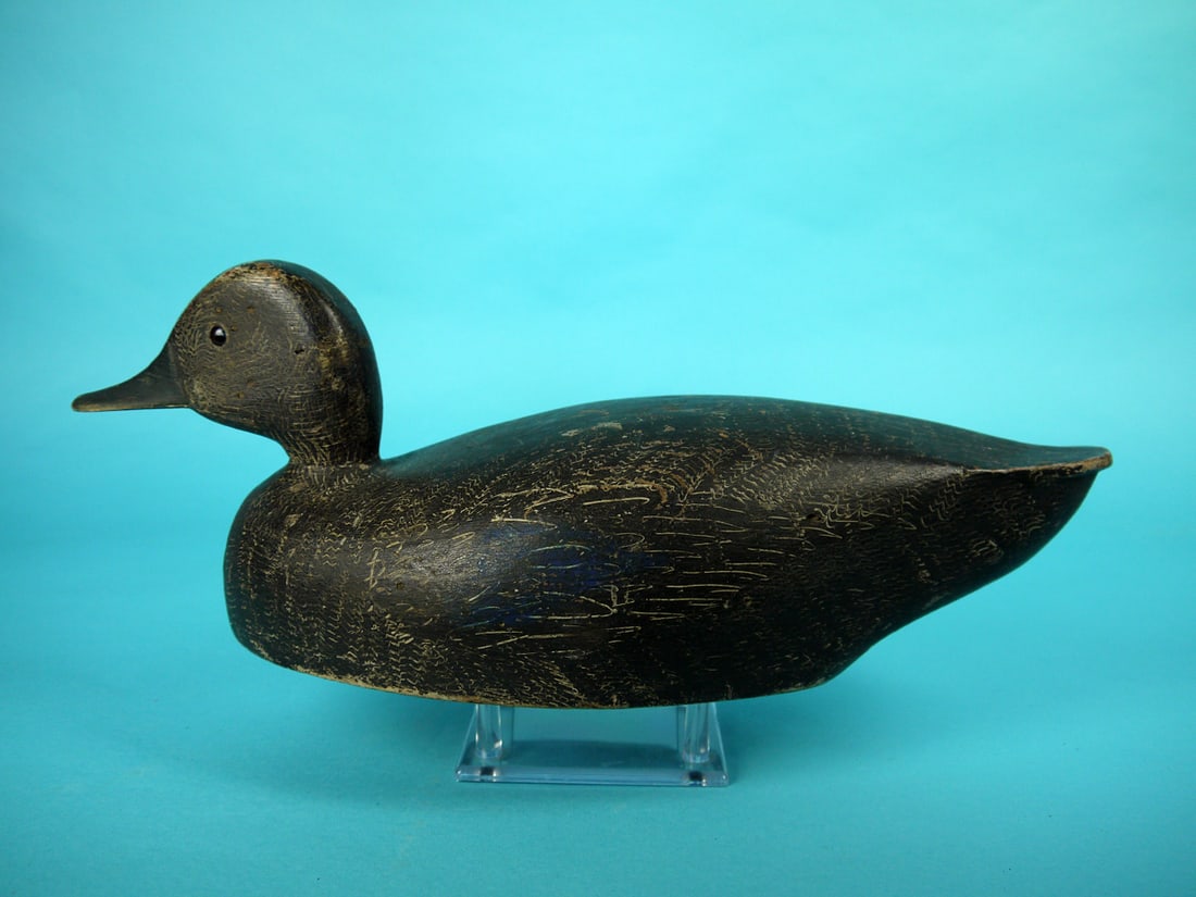 BLACK DUCK. W. SMITH (1 of 4)