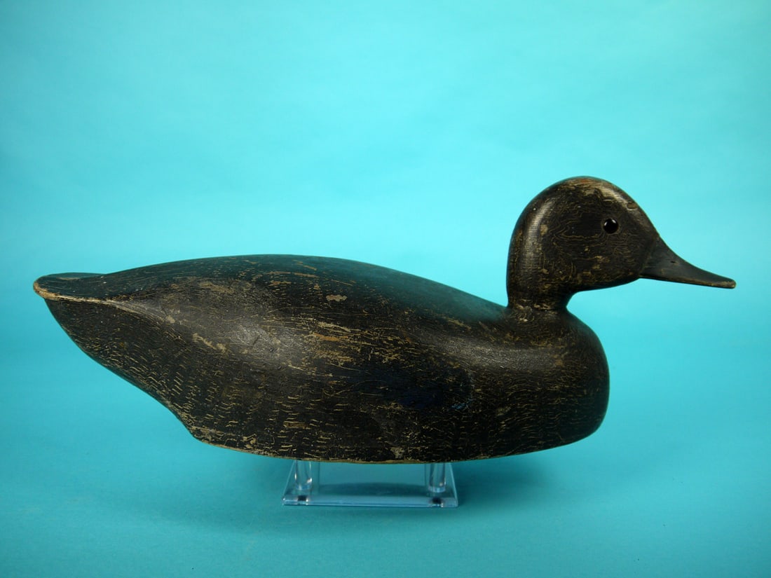 BLACK DUCK. W. SMITH - 2