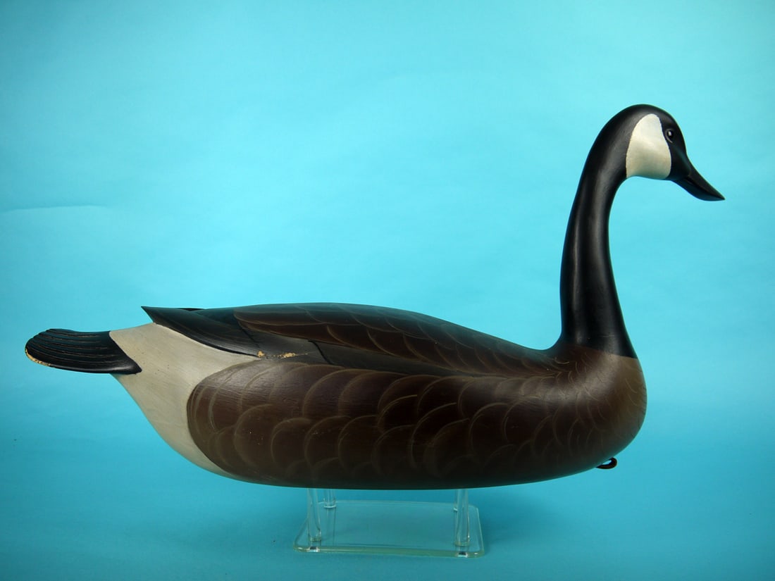 CANADA GOOSE, M. GEIS (1 of 4)