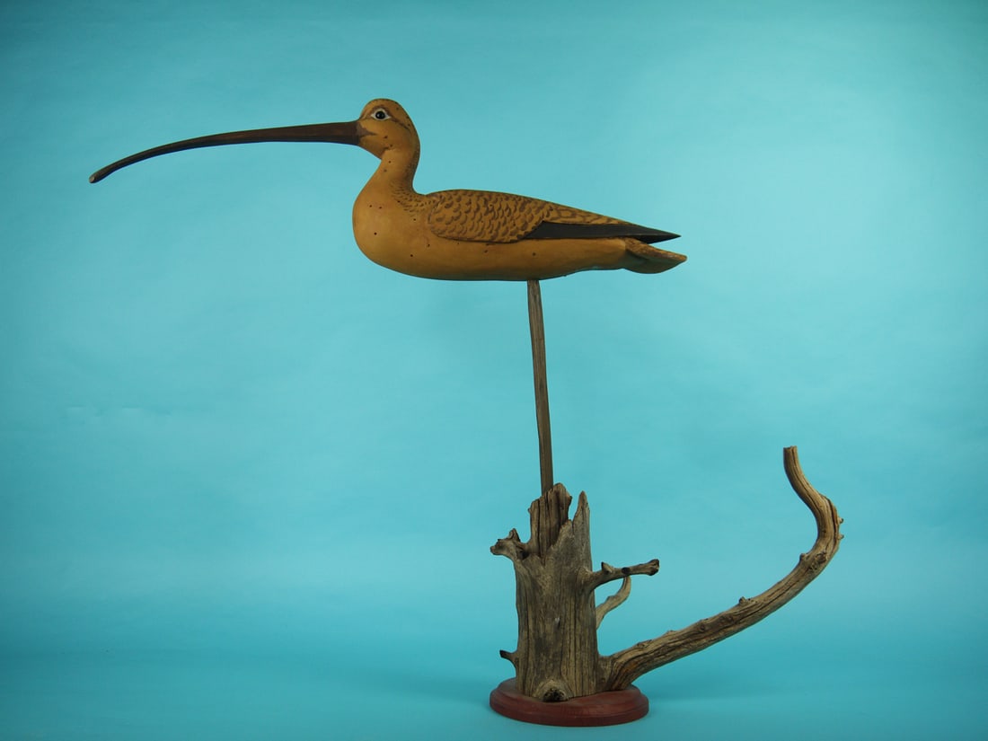 CURLEW, G. GIBERSON: OVERSIZED CURLEW by Gary Giberson, Port Republic, NJ. Very good original paint and structural condition. Some light shot marks overall. Relief-carved wings and split-tail carving. Broad tail with