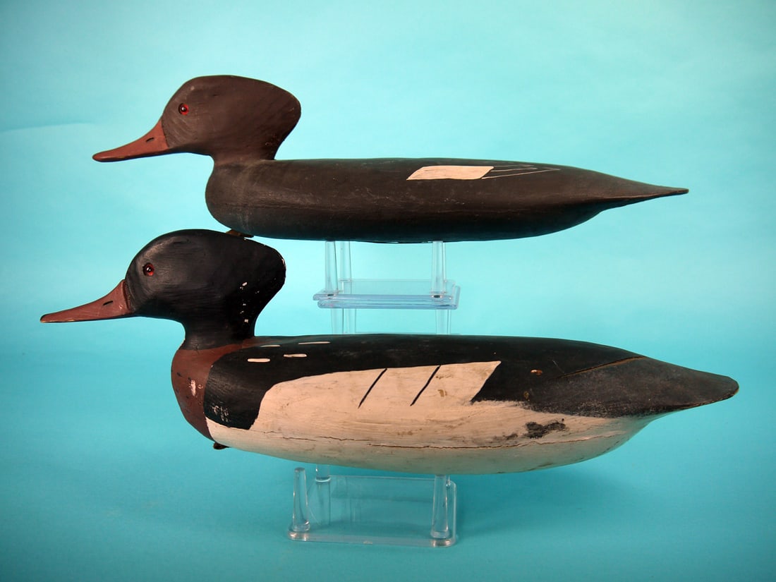 RED-BREASTED MERGANSER PAIR, J. HAMILTON (1 of 4)