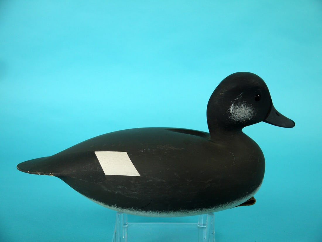 BUFFLEHEAD HEN, J.P. HAND - 2