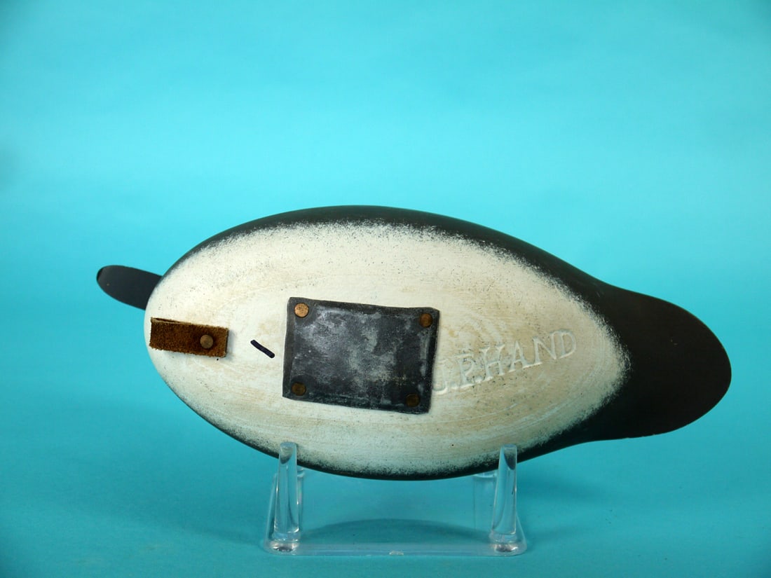 BUFFLEHEAD HEN, J.P. HAND - 4