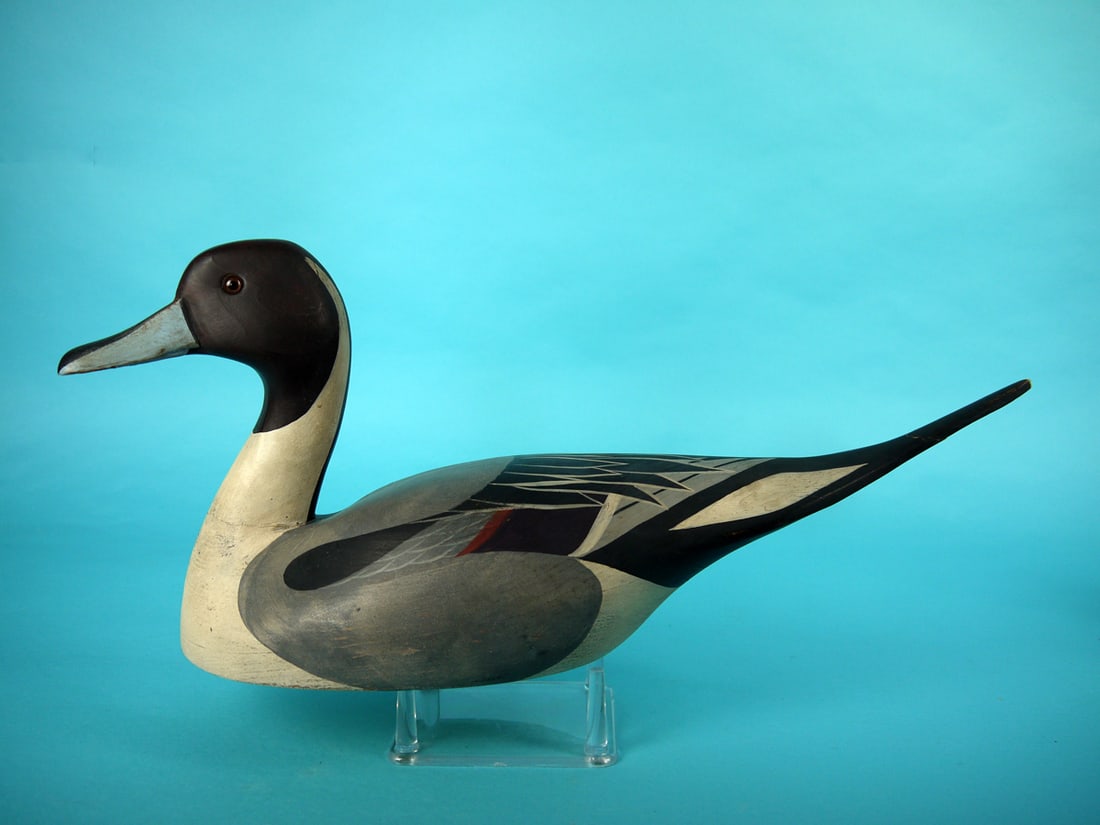 PINTAIL DRAKE, T.J. HOOKER (1 of 4)