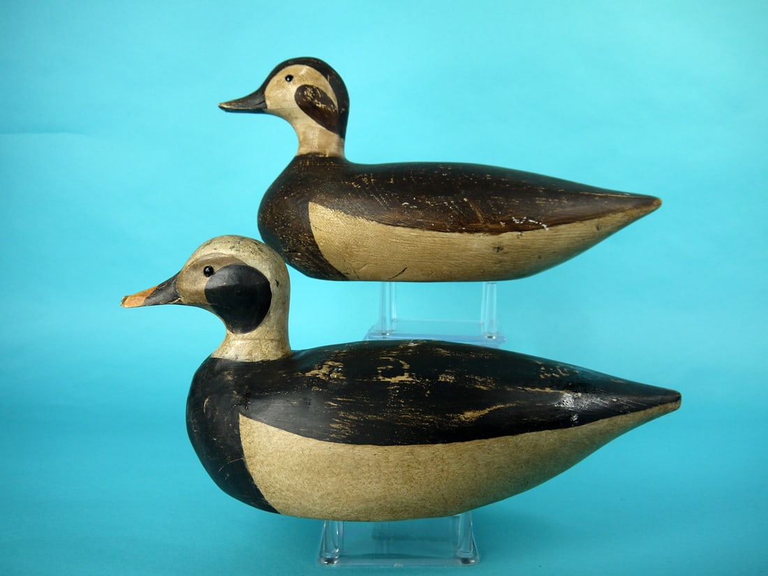 OLD SQUAW PAIR, K. KIRBY: PAIR OF OLD SQUAWS by Ken Kirby, Little Egg Harbor, NJ. Very good "aged" original paint and structural condition. Solid construction. Both bills with carved detail. Both retain glass eyes. Both