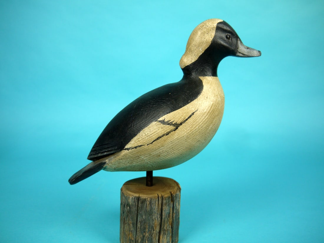 STANDING BUFFLEHEAD DRAKE, K. KIRBY (1 of 4)