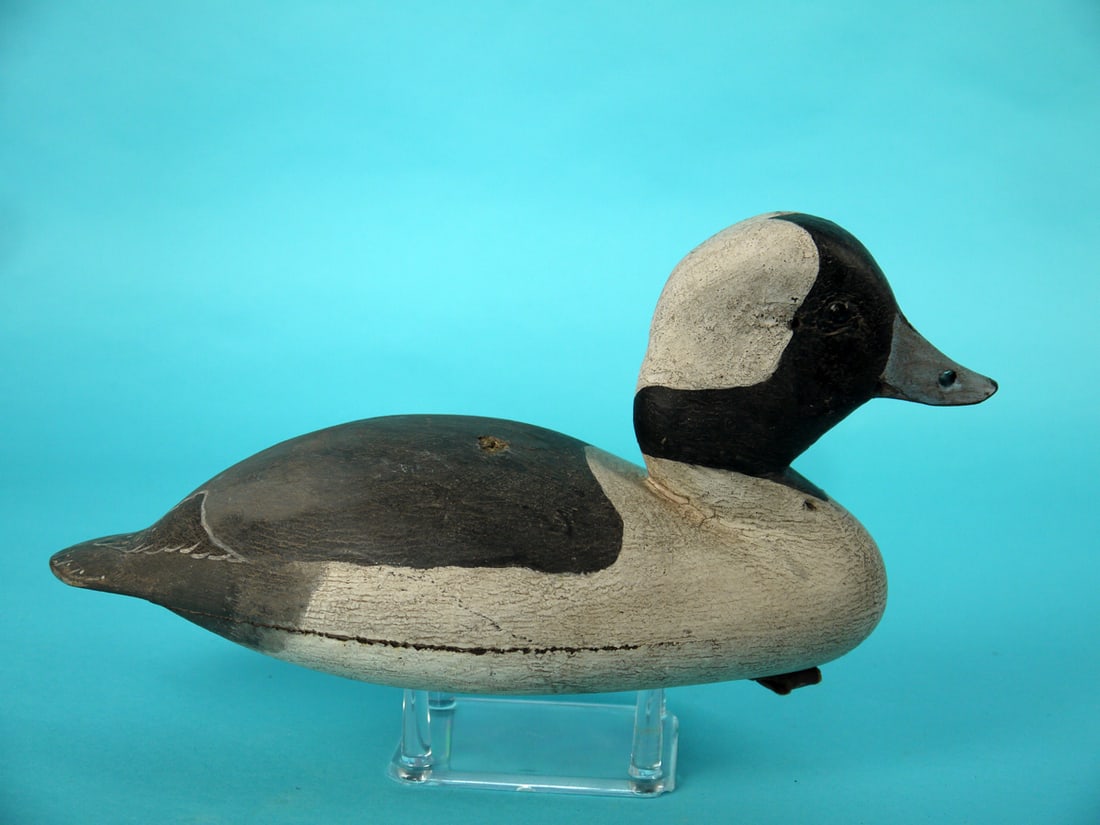 BUFFLEHEAD DRAKE, A. LINKCHORST - 2