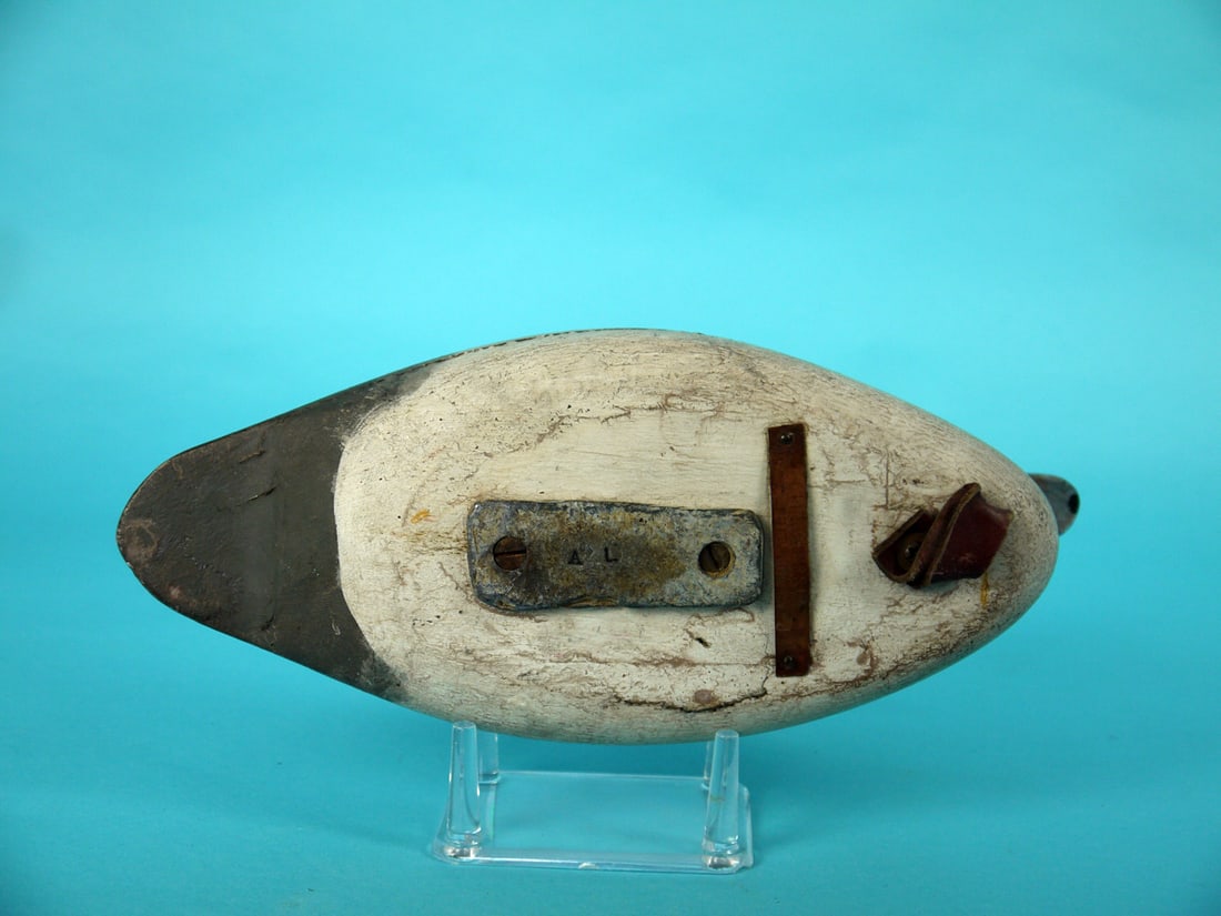 BUFFLEHEAD DRAKE, A. LINKCHORST - 4