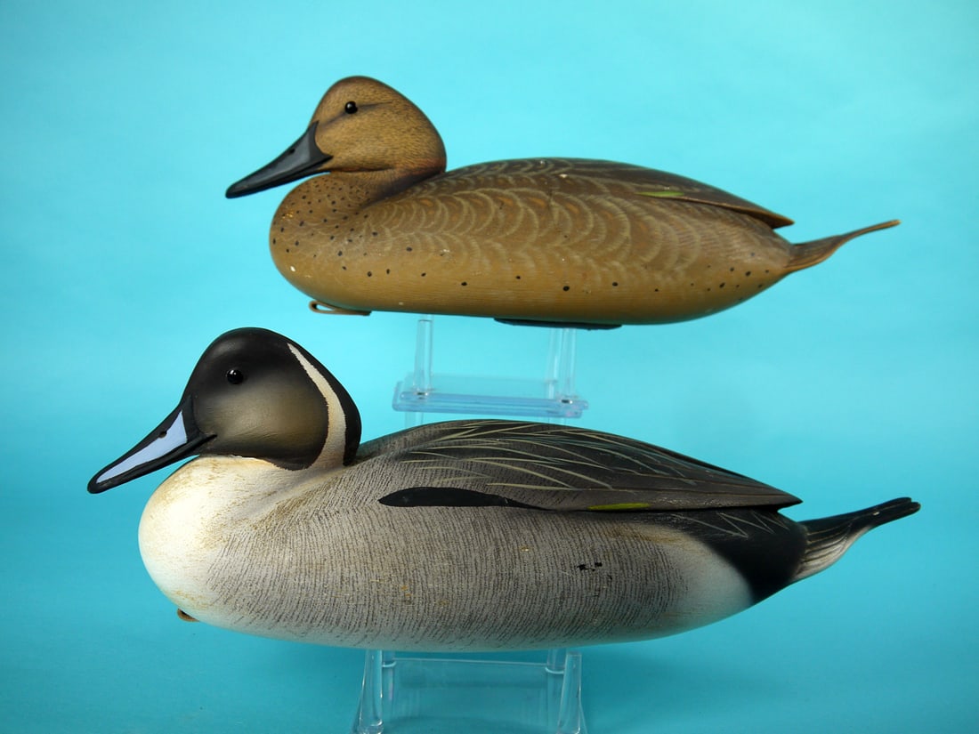 PINTAIL PAIR, H. MILLER (1 of 4)