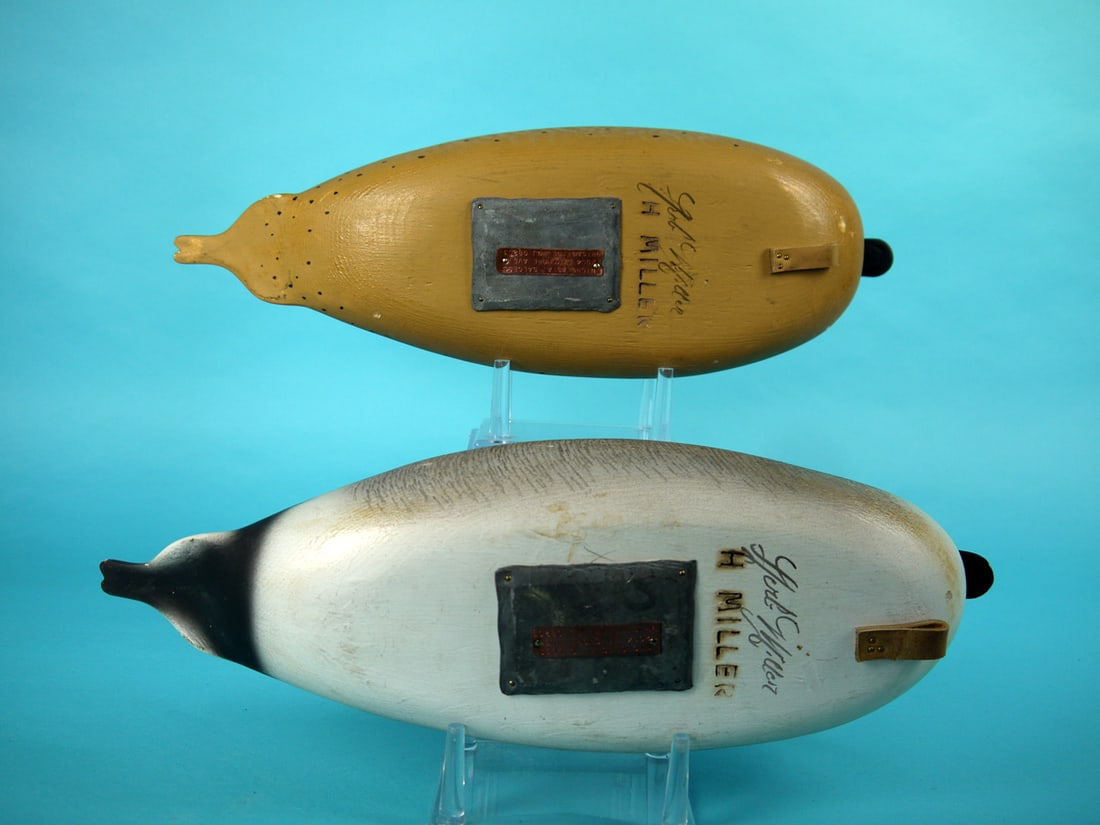 PINTAIL PAIR, H. MILLER - 4