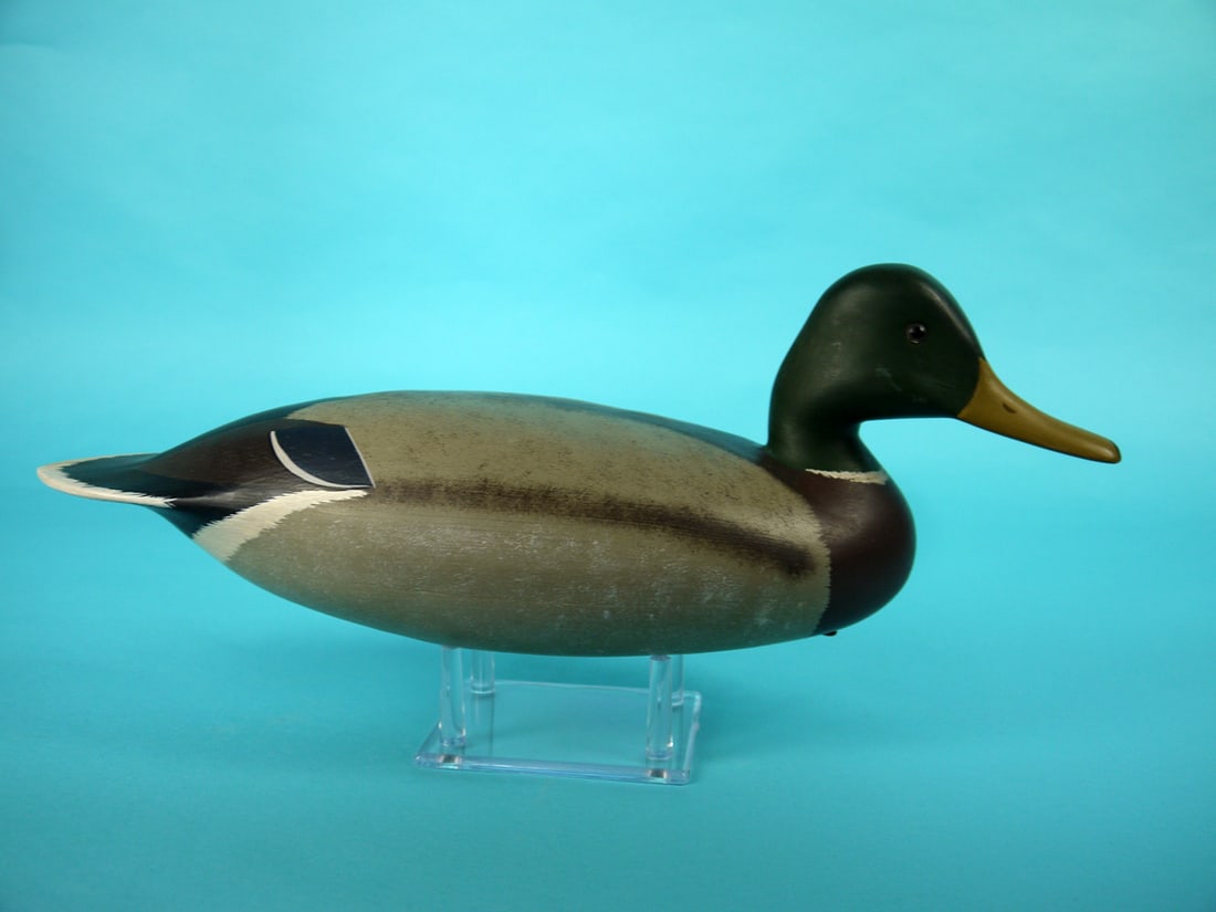 MALLARD DRAKE, B. RUTTER (1 of 4)