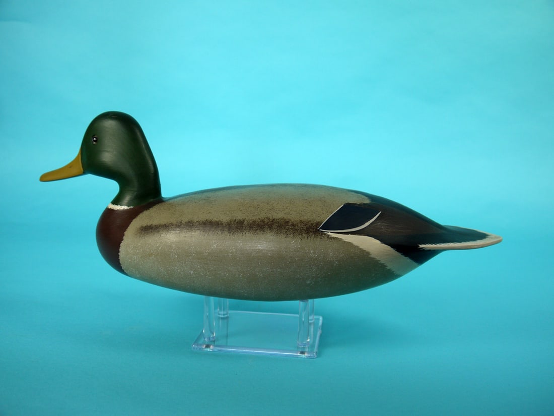 MALLARD DRAKE, B. RUTTER - 2