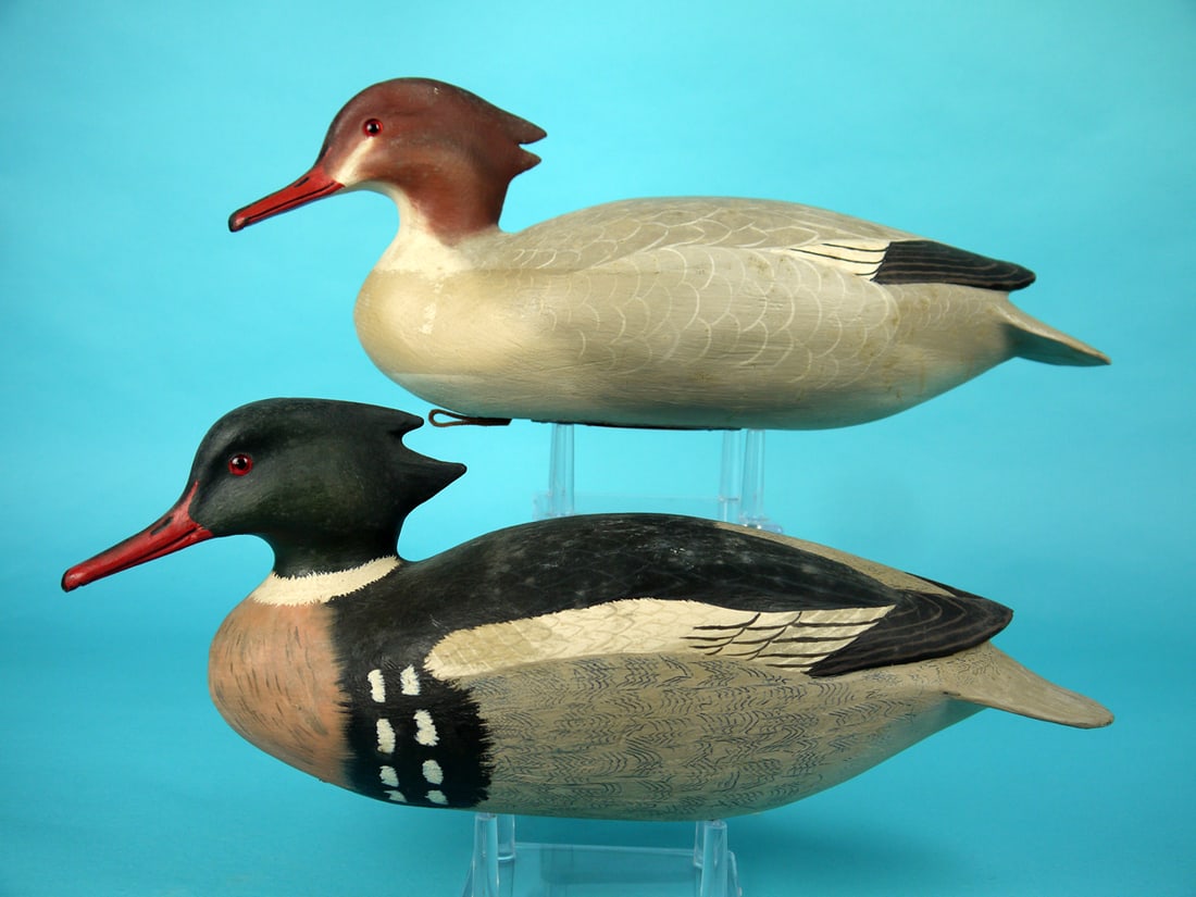 RED-BREASTED MERGANSER PAIR, R. SABATINI (1 of 4)