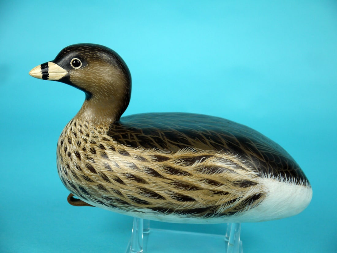 GREBE. J. WOOD (1 of 4)