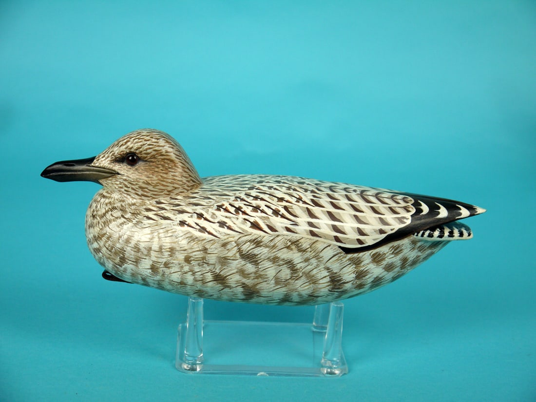 ONE-THIRD SIZE HERRING GULL, J. WOOD: VERY FINE ONE-THIRD SIZE IMMATURE HERRING GULL by John Wood, Venice, FL. Excellent antiqued paint and structural condition. Detailed painted feather work to entire body. Raised wing tips and