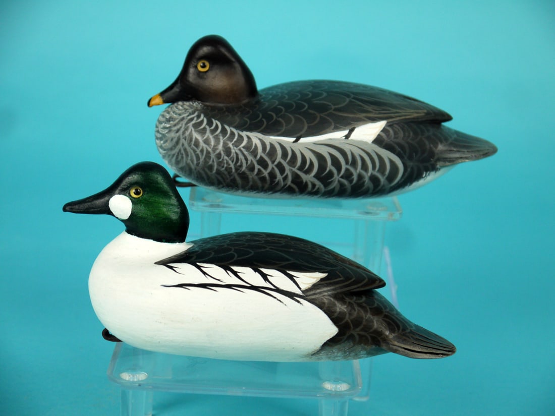 MINIATURE GOLDENEYE PAIR, J. WOOD: VERY FINE PAIR OF MINIATURE GOLDENEYES by John Wood, Venice, FL. Excellent original paint and structural condition. The hen, carved in a content position, has detailed paint feather work to body. The