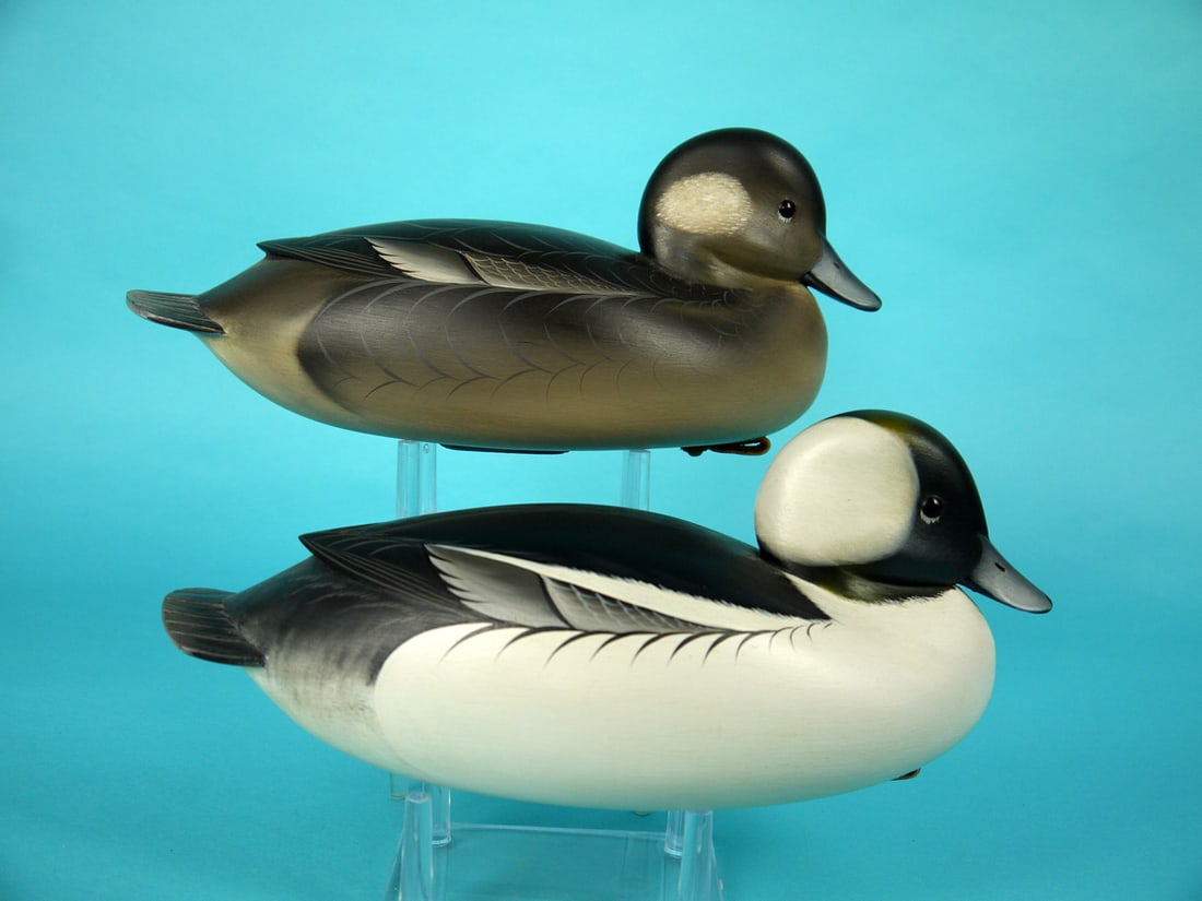 BUFFLEHEAD PAIR, G. STRUNK - 2