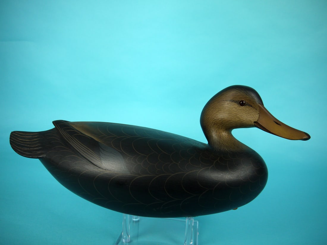 BLACK DUCK, G. STRUNK (1 of 4)