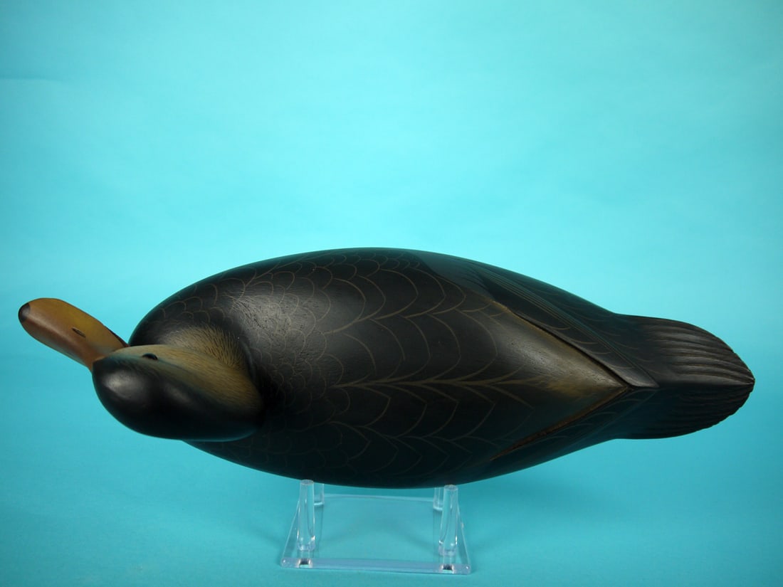 BLACK DUCK, G. STRUNK - 3