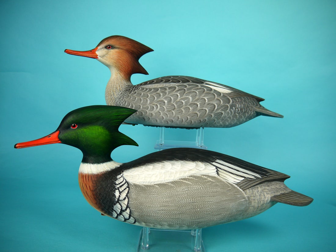 RED-BREASTED MERGANSER PAIR, B. HEINENMANN (1 of 4)