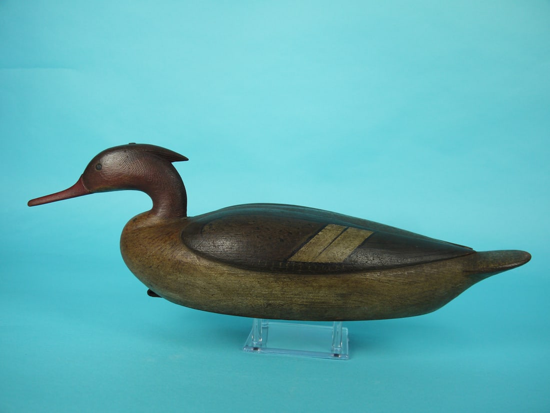 COMMON MERGANSER HEN, M. MCNAIR (1 of 4)