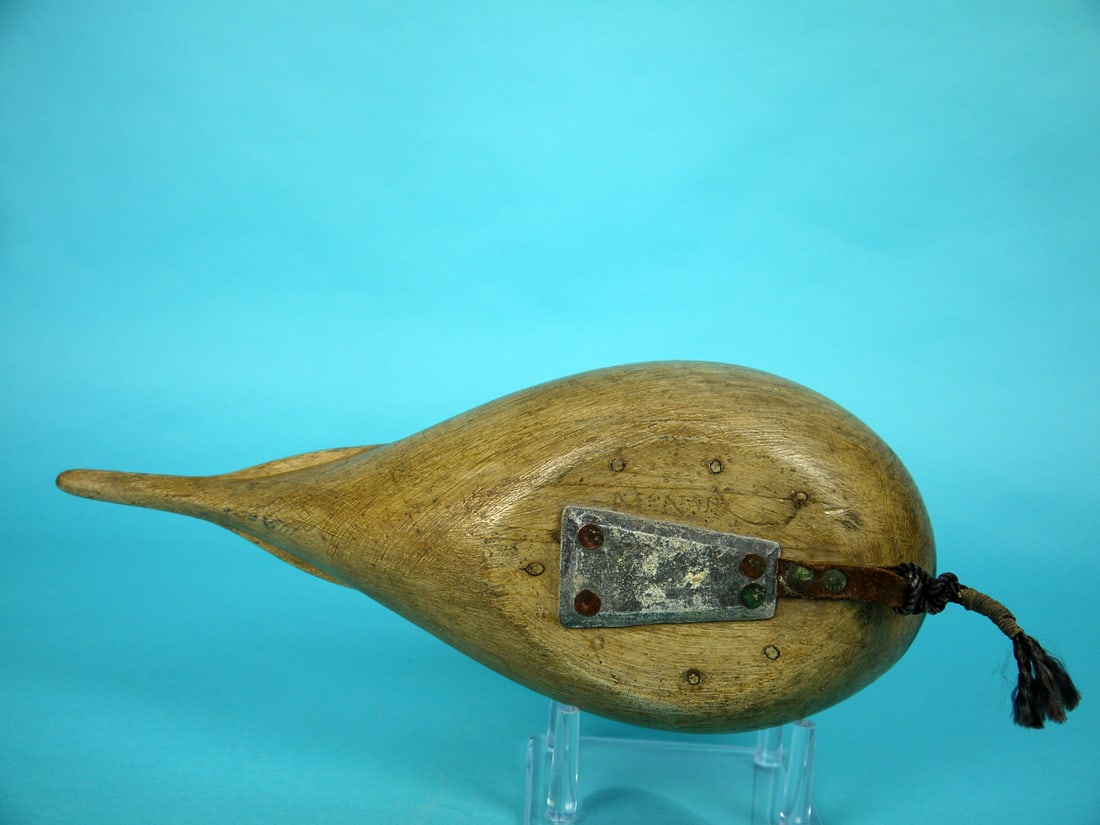 LONG-TAILED DRAKE, M. MCNAIR - 5