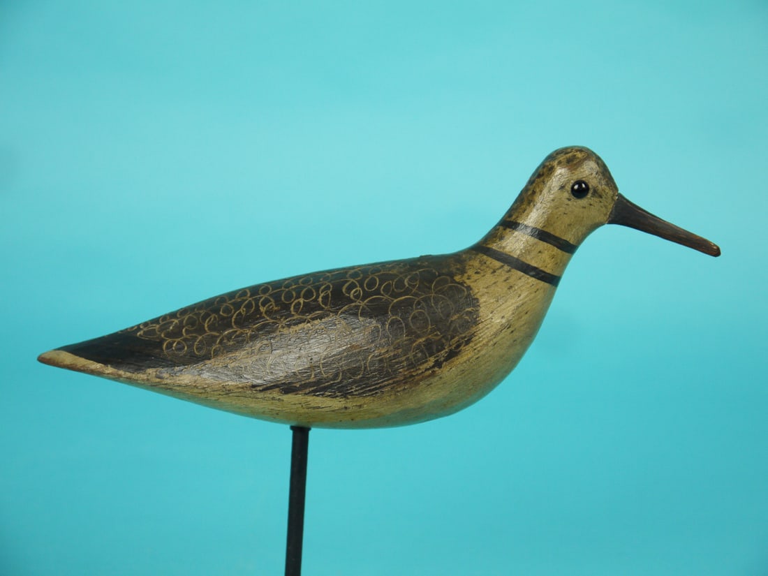 KILLDEER, M. MCNAIR - 2