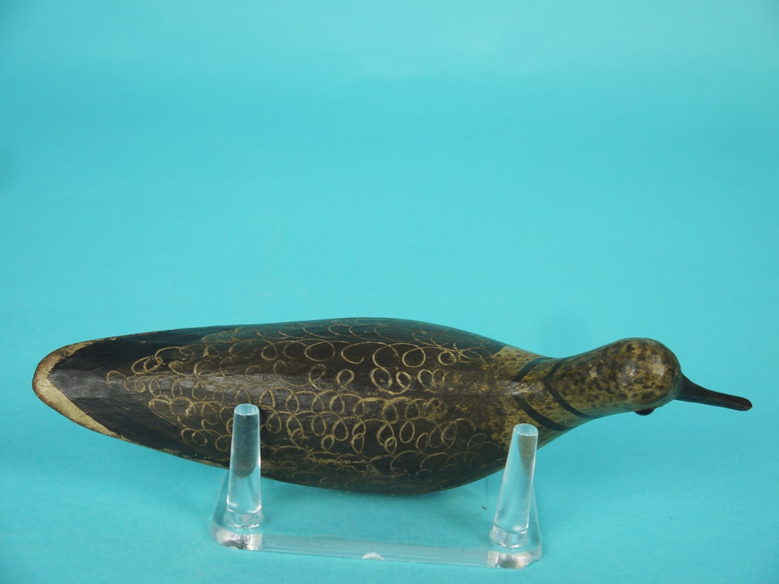 KILLDEER, M. MCNAIR - 3