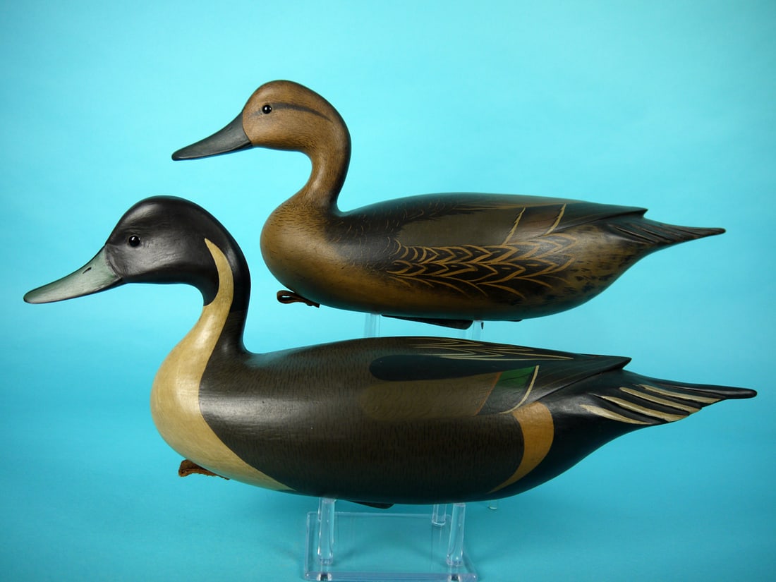 PINTAIL PAIR, B. WHITE (1 of 4)
