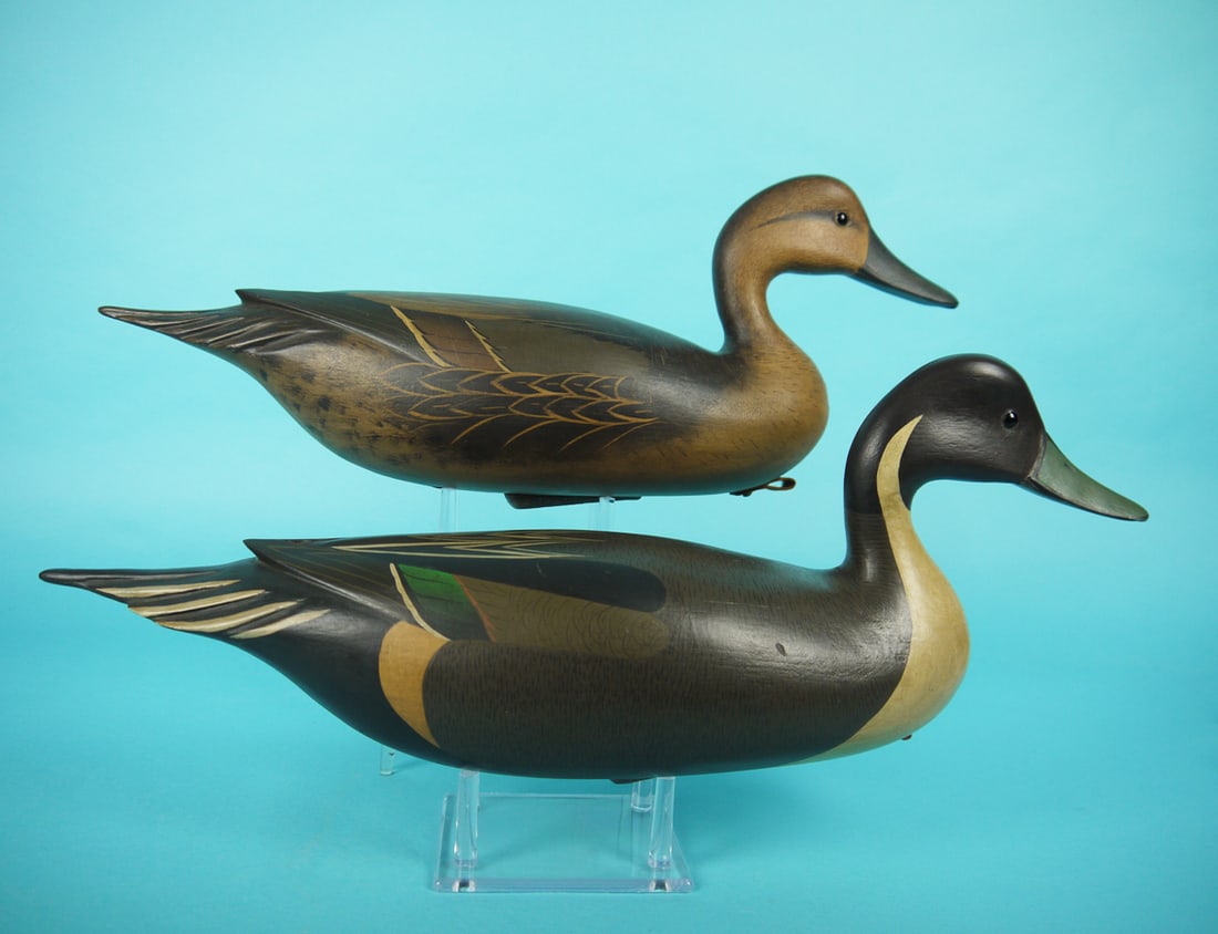 PINTAIL PAIR, B. WHITE - 2