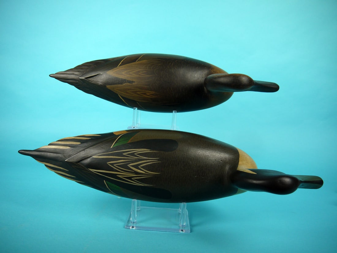 PINTAIL PAIR, B. WHITE - 3