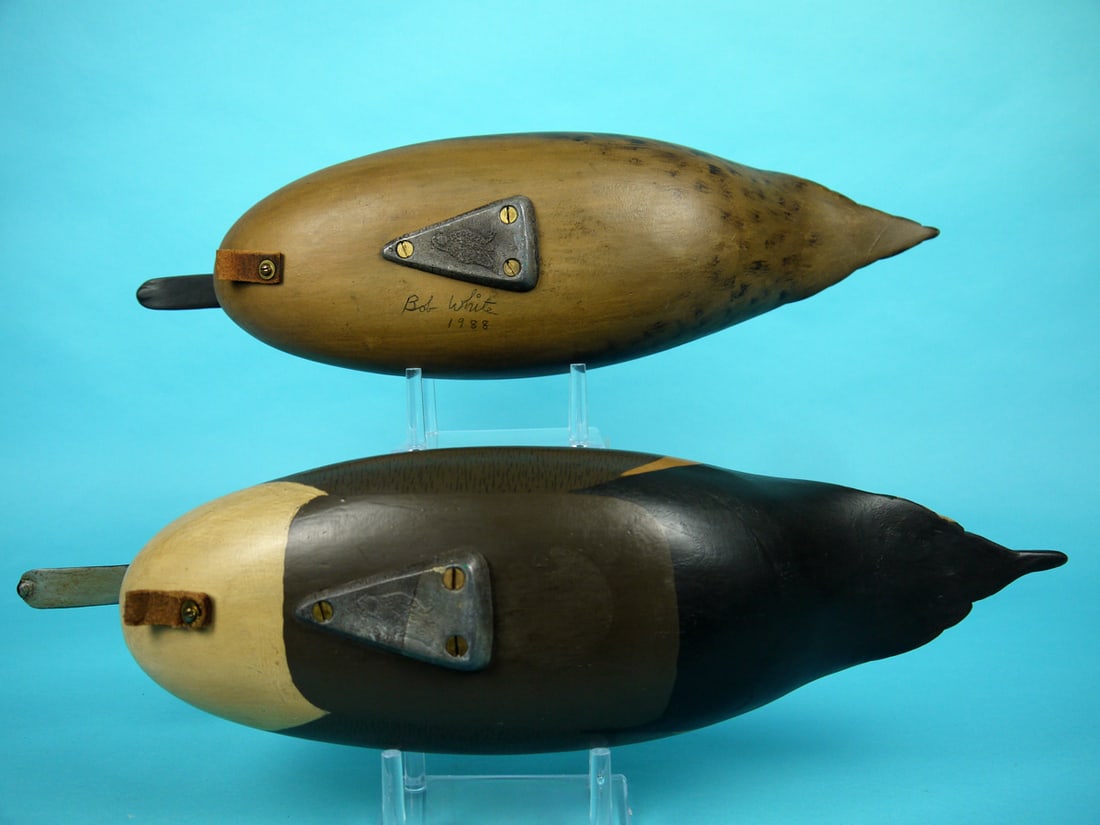 PINTAIL PAIR, B. WHITE - 4