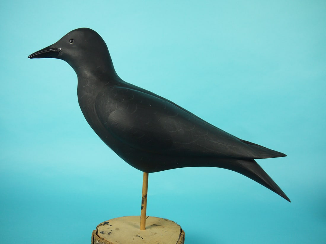 CROW, BOB WHITE (1 of 4)