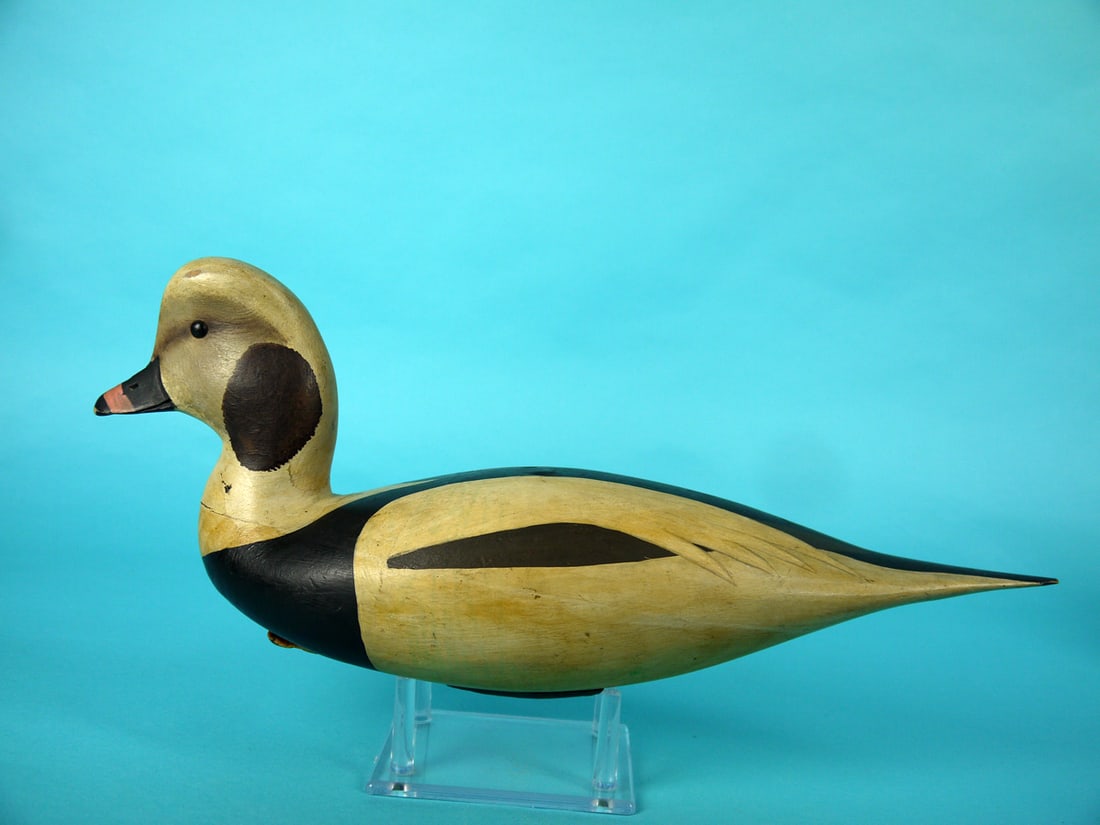 LONG-TAILED DRAKE, B. WHITE: LONG-TAILED DRAKE by Bob White Tullytown, PA. Working decoy in good original paint and structural condition. Some discoloration and sap bleed in areas. Minor paint rubs to bill tip, head and tail