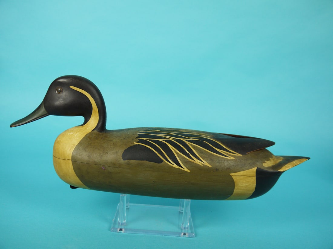 PINTAIL DRAKE, B. WHITE (1 of 4)