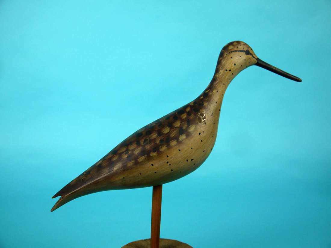 YELLOWLEGS, B. WHITE - 2