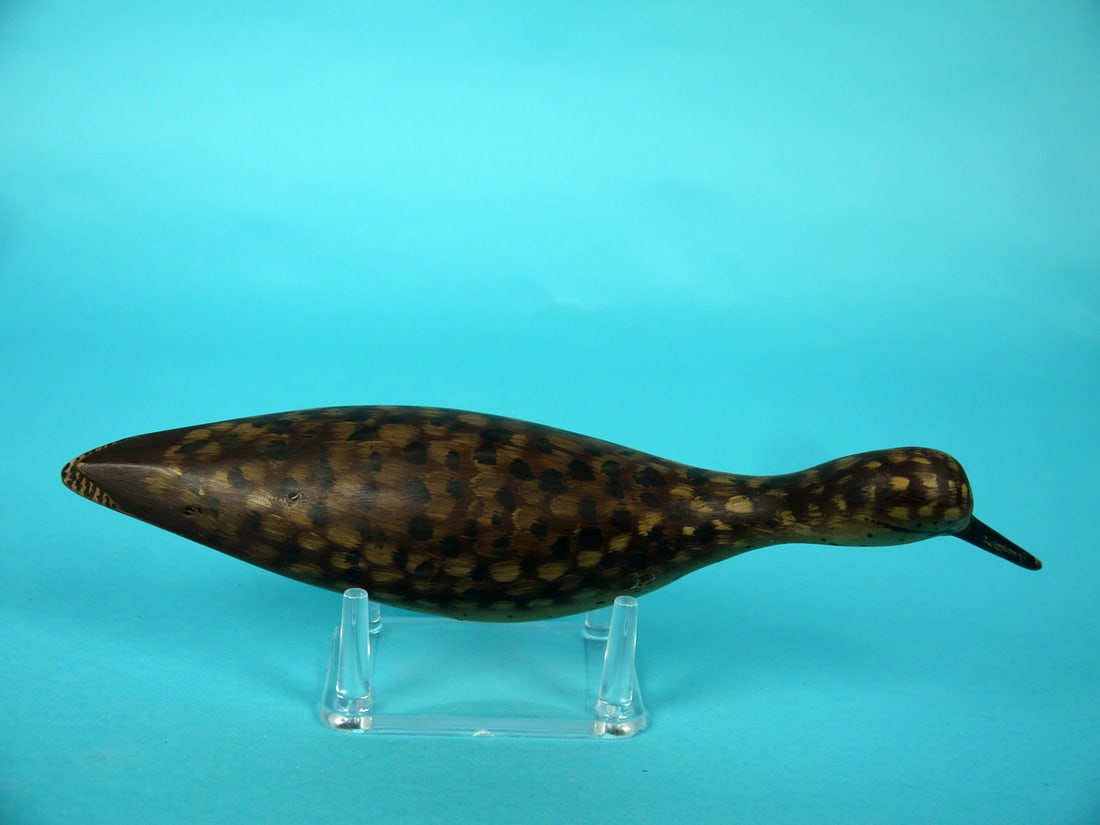 YELLOWLEGS, B. WHITE - 3