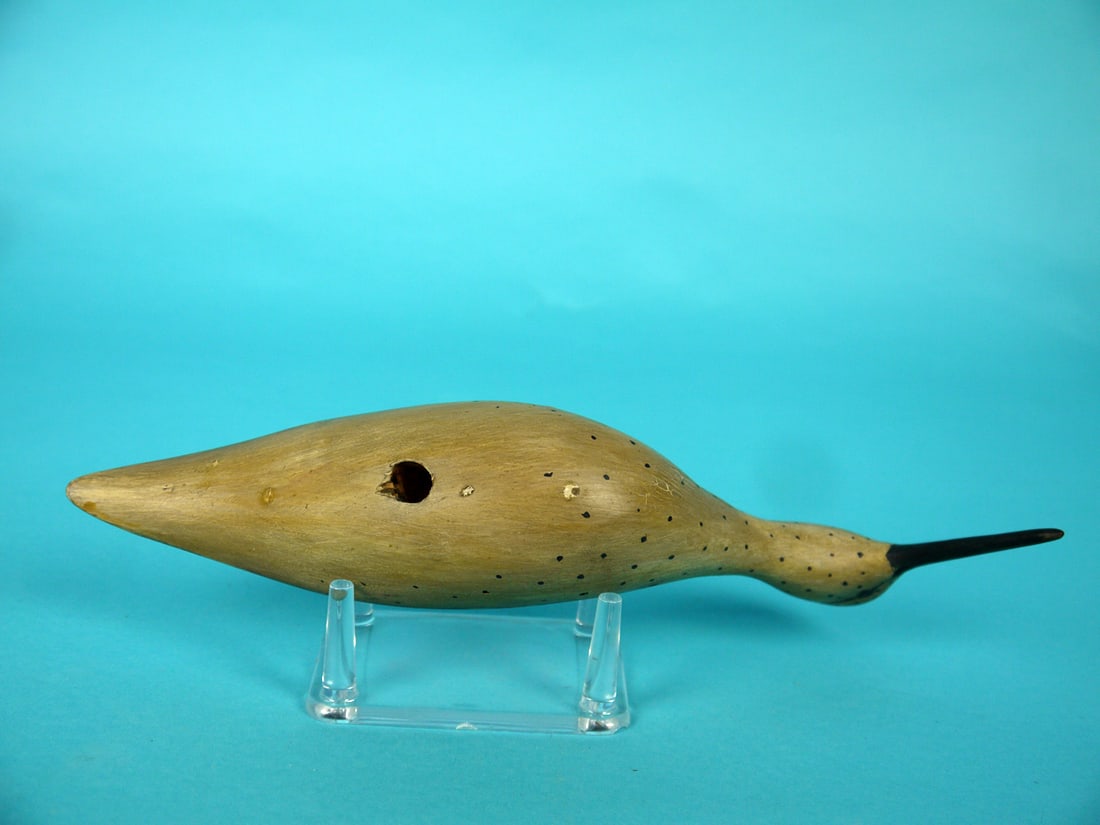 YELLOWLEGS, B. WHITE - 4