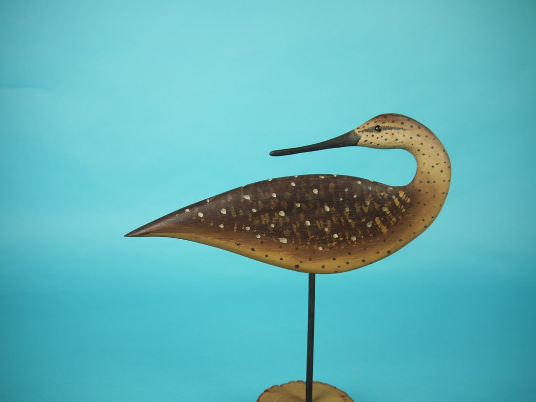 YELLOWLEGS SILHOUETTE, B. WHITE (1 of 2)