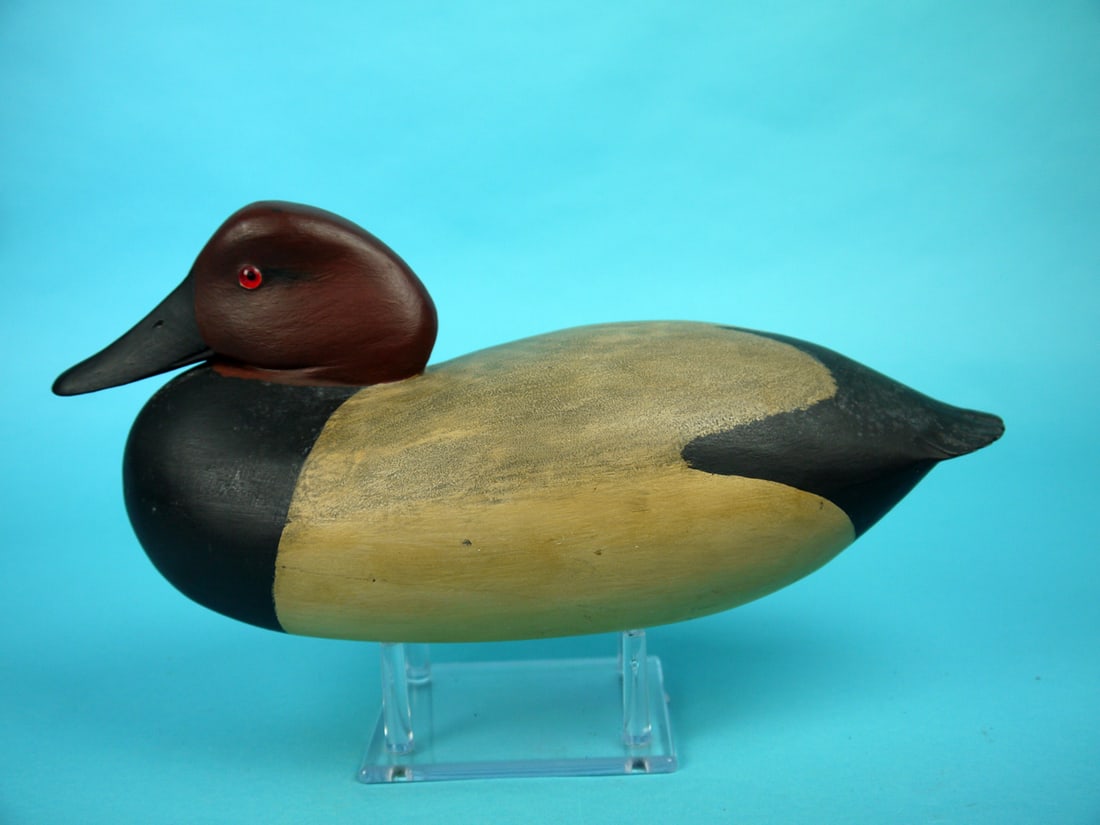 CANVASBACK DRAKE, B. WHITE (1 of 4)