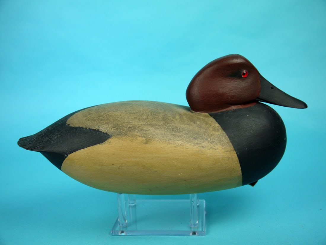 CANVASBACK DRAKE, B. WHITE - 2