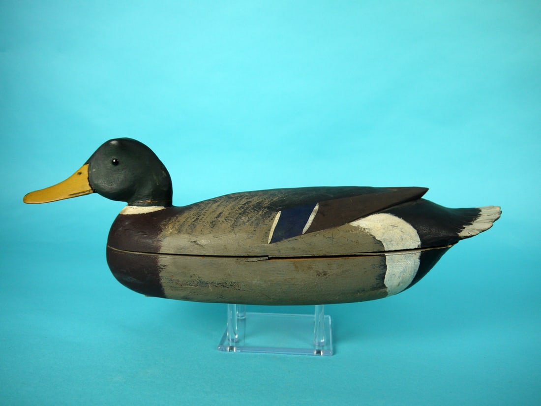 MALLARD DRAKE, B. WHITE (1 of 4)