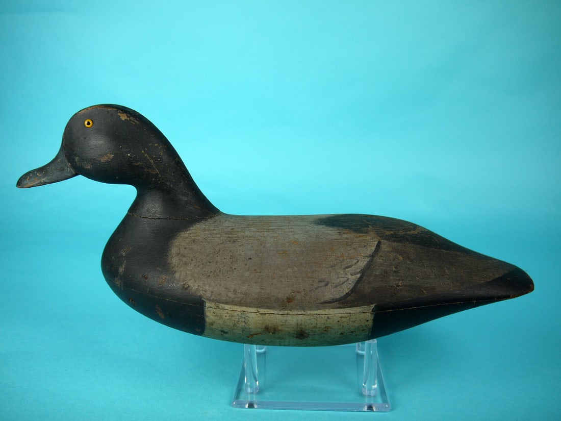 BLUEBILL DRAKE, J. BLAIR, JR. (1 of 4)