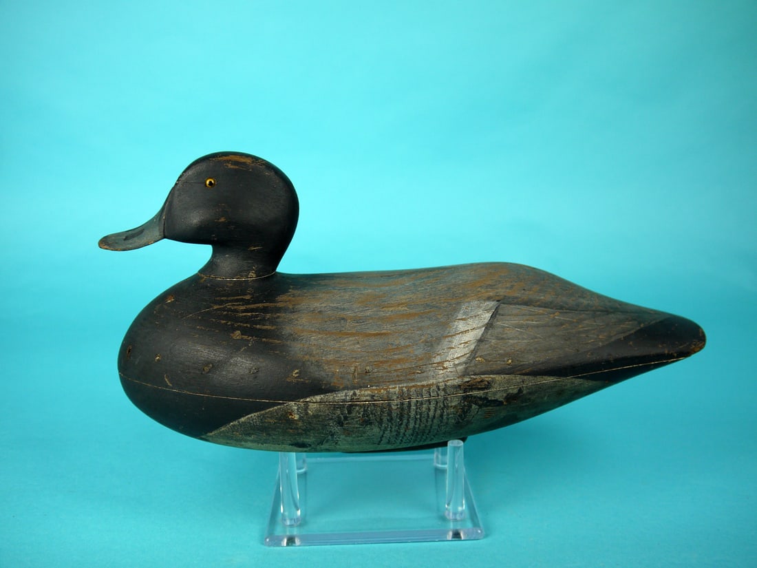 BLUEBILL DRAKE, J. BLAIR, JR. (1 of 4)