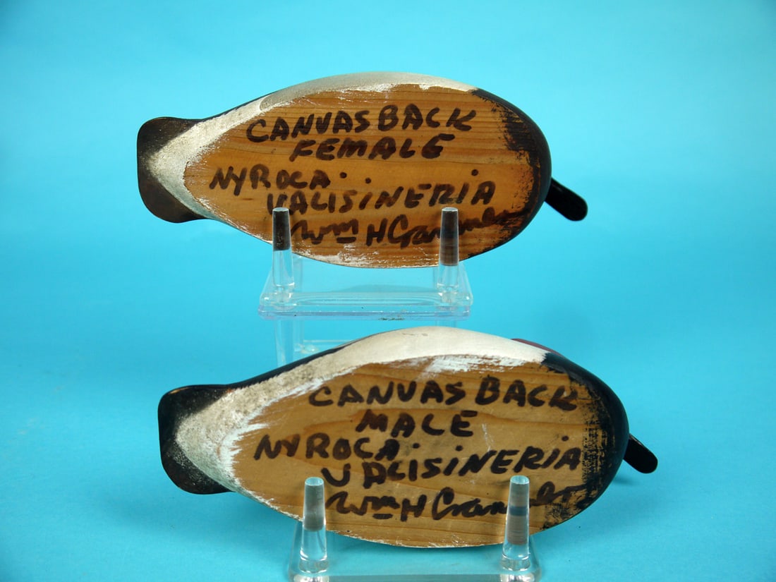 ONE-THIRD SIZE CANVASBACK PAIR, W. CRANMER - 4