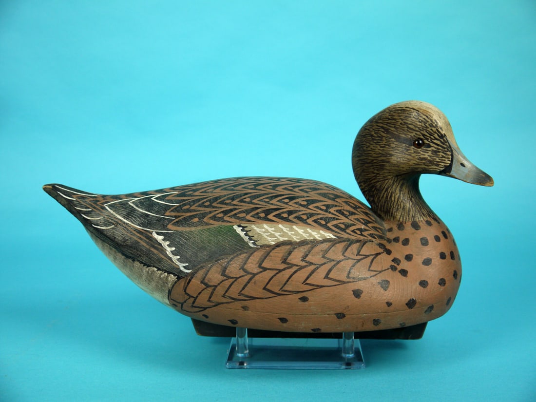 WIGEON DRAKE, W. CRANMER (1 of 4)